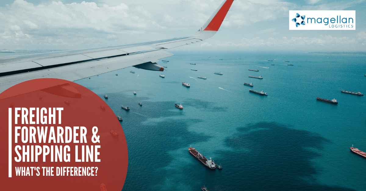 Freight forwarder vs shipping line