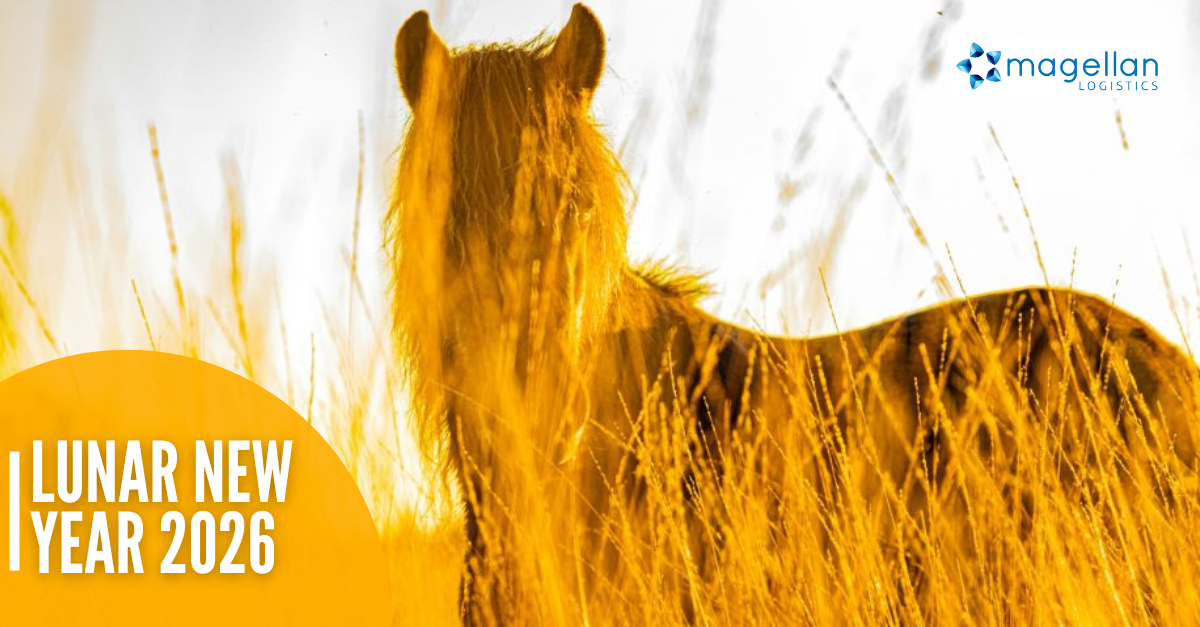 Chinese New Year / Lunar New Year 2026. Image of a silhouette of a horse in a field of long grass. Main colour is yellow, giving the impression of it being late on a hot sunny day.