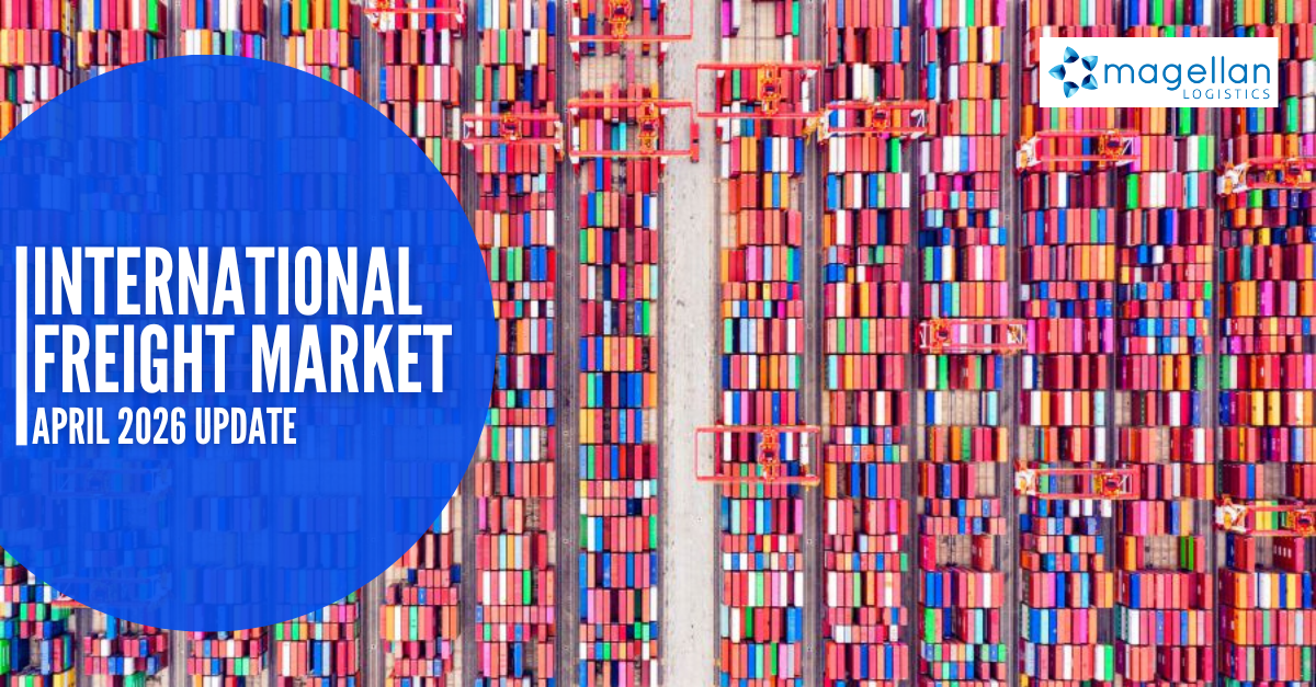 Freight Market Update: Aerial image of shipping containers at a port. Colourised image has oversaturated colour with pink and blue tones.